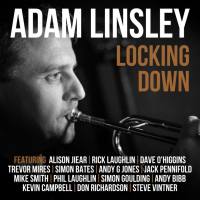 Adam Linsley - Locking Down (2021) FLAC