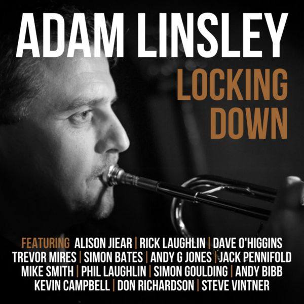 Adam Linsley - Locking Down (2021) FLAC