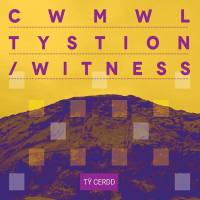 Tomos Williams - Cwmwl Tystion (2021) FLAC