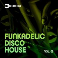 VA - Funkadelic Disco House, 05 2021 FLAC