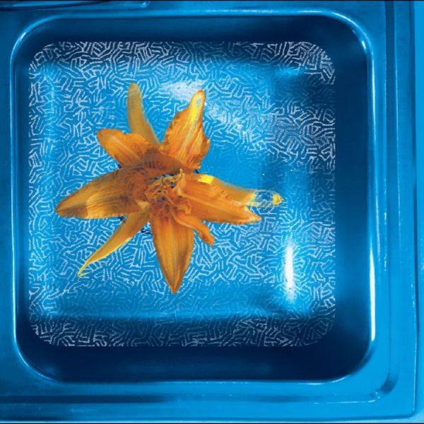 June Star - How We See It Now (2021) Hi-Res