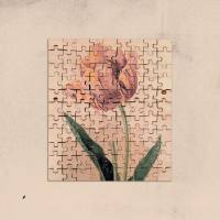 Other Joe - Jealousy Tulip 2021 Hi-Res