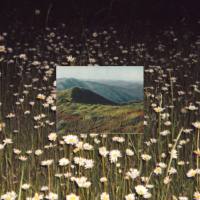 Sharp Veins - Lips the Same Color 2021  Hi-Res