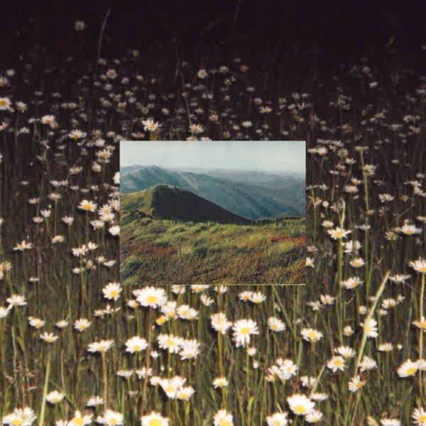 Sharp Veins - Lips the Same Color 2021  Hi-Res