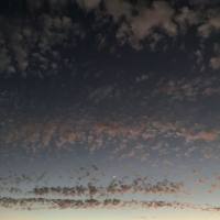 K. Leimer - Found Objects  2021 Hi-Res