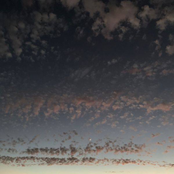 K. Leimer - Found Objects  2021 Hi-Res