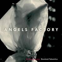 Florian LaRousse - Angels Factory (2021) FLAC