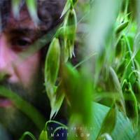 Matt Low - La ruée vers l'or 2021 FLAC