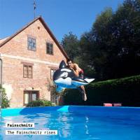 Fainschmitz - The Fainschmitz Rises (2021) FLAC