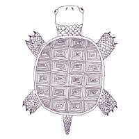 Facit - Beach Music 2021 Hi-Res Facit - Beach Music 2021 Hi-Res