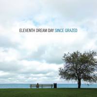 Eleventh Dream Day - Since Grazed (2021) FLAC