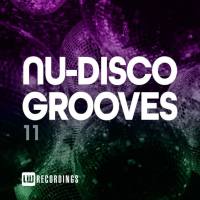VA - Nu-Disco Grooves, Vol. 11 2021 FLAC
