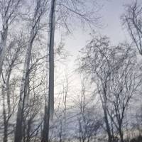 VA - Affin Selection 2021 FLAC