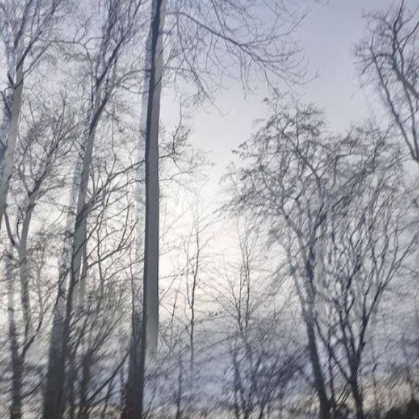 VA - Affin Selection 2021 FLAC