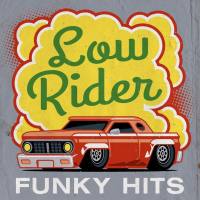 VA - Low Rider - Funky Hits 2021 FLAC