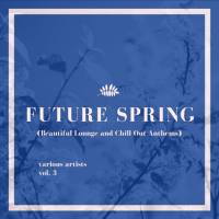 VA - Future Spring, Vol. 3 (Beautiful Lounge and Chill out Anthems) 2021 FLAC