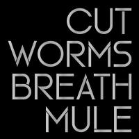 Cut Worms - Breath Mule (2021) FLAC