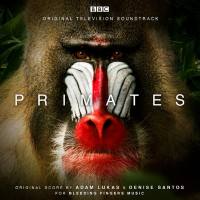 Adam Lukas & Denise Santos - Primates (Original Television Soundtrack) (2021) FLAC