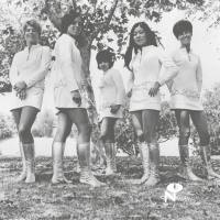 Female Species - Tale Of My Lost Love (2021) FLAC