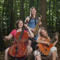 VA - Classical Saxophone Collection (2021) FLAC