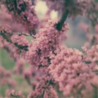 zakè & Marine Eyes - Unfailing Love 2021 Hi-Res