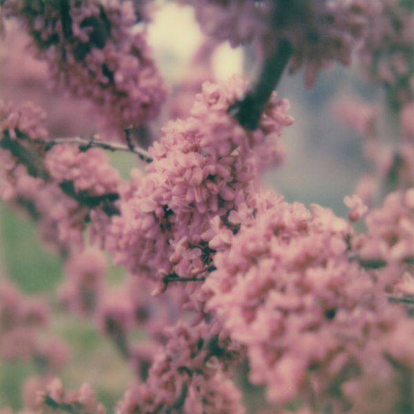 zakè & Marine Eyes - Unfailing Love 2021 Hi-Res