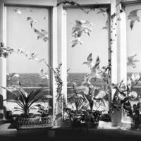 Andy Stott - Never The Right Time 2021 FLAC