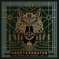 NEEDTOBREATHE - Live From the Woods Vol. 2 (2021) FLAC