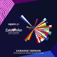 VA - Eurovision Song Contest Rotterdam 2021 (Karaoke Version) (2021) FLAC