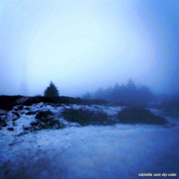 Submotile - Sonic Day Codas (2021) FLAC