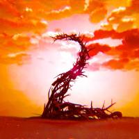 Simon Mills - Locational 2 2021 Hi-Res