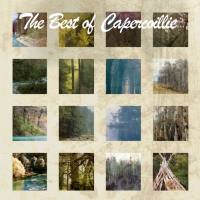 Capercaillie - The Best Of Capercaillie (2012) FLAC (16bit-44.1kHz)