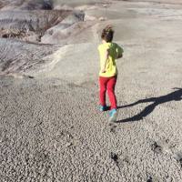 The Polyphonic Spree - Afflatus 2021 FLAC