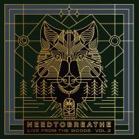 NEEDTOBREATHE - Live From the Woods Vol. 2 (2021) HD