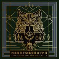 NEEDTOBREATHE - Live From the Woods Vol. 2 (2021) HD