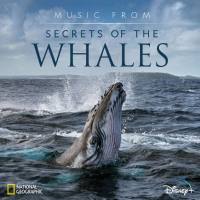 Raphaelle Thibaut - Music from Secrets of the Whales 2021 FLAC