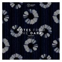 VA - Notes from the Dark, Vol. 14