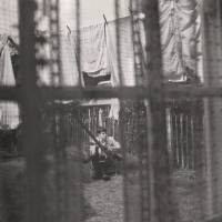 Paul McCartney - 2005 Chaos And Creation In The Backyard (CDP 0946 3 38299 2 3)