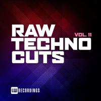 Various Artists - Raw Techno Cuts, Vol. 11 (2021) [.flac lossless]