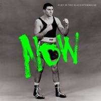 Fury In The Slaughterhouse - NOW Hi-Res