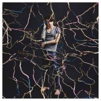 Louis Arlette - Arbre de vie FLAC (24bit-44.1kHz)