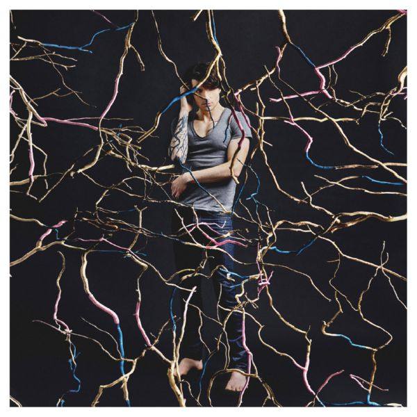 Louis Arlette - Arbre de vie FLAC (24bit-44.1kHz)