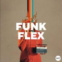 Stuart Moore - Funk Flex (2021) [.flac lossless]
