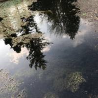 Spheruleus - Canvas Homes + Supplémentaires-24-44.1