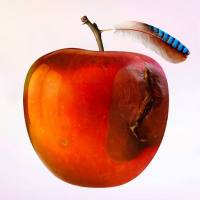 International Music - Ententraum (2021) Flac