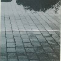 SANTESSA - Delirium + noncomCUESHEET+LOG