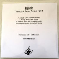 Bjork - Vulnicura Remix Project Series I 2015 FLAC