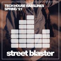 Various Artists - Tech House Basslines Spring '21 (2021) [.flac lossless]