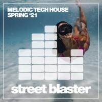 Various Artists - Melodic Tech House Spring '21 (2021) [.flac lossless]