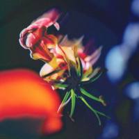 Kaktus Einarsson - 45rpm (2021) HD